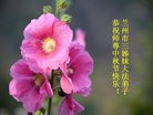 ֹ,󷨵ӹףʦ(19)