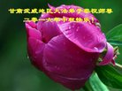 ֹ,󷨵ӹףʦ(19)