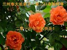 法轮功,甘肃大法弟子恭祝师尊中秋好(19条)