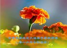 ֹ,󷨵ӹףʦ(19)