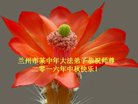 ֹ,󷨵ӹףʦ(19)