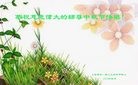 ֹ,Ϻ󷨵ӹףʦ(29)