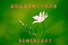ֹ,󷨵ӹףʦ(23)