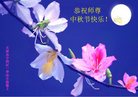 ֹ,󷨵ӹףʦ(24)