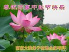 ֹ,մ󷨵ӹףʦ(24)