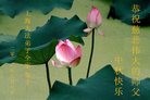 ֹ,Ϻ󷨵ӹףʦ(28)
