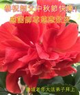 ֹ,Ϋ󷨵ӹףʦ(23)