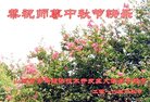 ֹ,ൺ󷨵ӹףʦ(21)