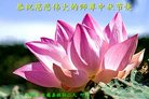 ֹ,Ĵ󷨵ӹףʦ(19)