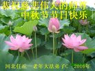 ֹ,ӱ󷨵ӹףʦ(21)