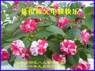 ֹ,д󷨵ӹףʦ(23)