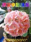ֹ,д󷨵ӹףʦ(23)