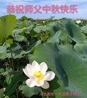 ֹ,ȷ󷨵ӹףʦ(29)