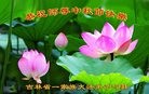 ֹ,ʡ󷨵ӹףʦ(30)