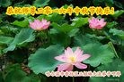 ֹ,󷨵ӹףʦ(22)