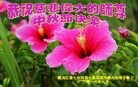 ֹ,󷨵ӹףʦ(21)