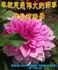 ֹ,󷨵ӹףʦ(21)