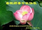 ֹ,ϴ󷨵ӹףʦ(23)