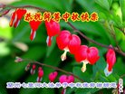 ֹ,󷨵ӹףʦ(23)