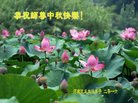 法轮功,河南大法弟子恭祝师尊中秋好(25条)