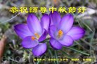 ֹ,ݴ󷨵ӹףʦ(26)