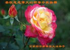 ֹ,ʯׯ󷨵ӹףʦ(27)