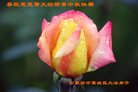 ֹ,ʯׯ󷨵ӹףʦ(27)