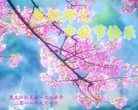 ֹ,󷨵ӹףʦ(19)