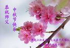 ֹ,󷨵ӹףʦ(19)
