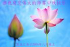 ֹ,󷨵ӹףʦ(19)