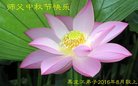 ֹ,󷨵ӹףʦ(19)