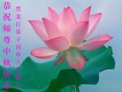 ֹ,󷨵ӹףʦ(19)