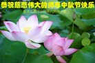 法轮功,黑龙江大法弟子恭祝师尊中秋好(19条)