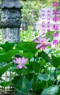 ֹ,󷨵ӹףʦ(19)
