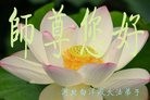 ֹ,󷨵ӹףʦ(26)
