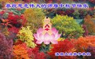 ֹ,󷨵ӹףʦ(24)