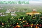 法轮功,陕西大法弟子恭祝师尊中秋好(18条)