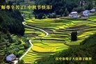 法轮功,陕西大法弟子恭祝师尊中秋好(18条)