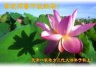 ֹ,󷨵ӹףʦ(26)