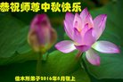 法轮功,佳木斯大法弟子恭祝师尊中秋好(21条)