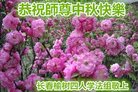ֹ,󷨵ӹףʦ(22)