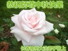 ֹ,󷨵ӹףʦ(22)