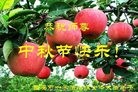 ֹ,󷨵ӹףʦ(23)