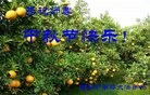 ֹ,󷨵ӹףʦ(23)