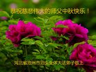 ֹ,ӱ󷨵ӹףʦ(22)