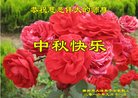 ֹ,󷨵ӹףʦ(22)