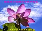 ֹ,󷨵ӹףʦ(25)