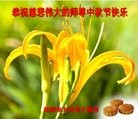 法轮功,辽宁大法弟子恭祝师尊中秋快乐(25条)