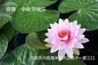 ֹ,󷨵ӹףʦ(27)