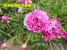 ֹ,󷨵ӹףʦ(22)